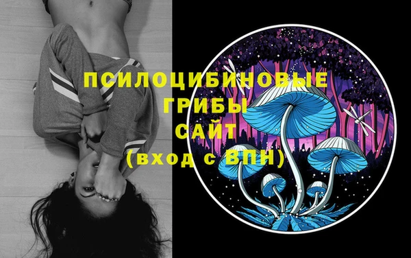 PSILOCYBIN Нея