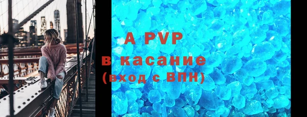 PSILOCYBIN Нея