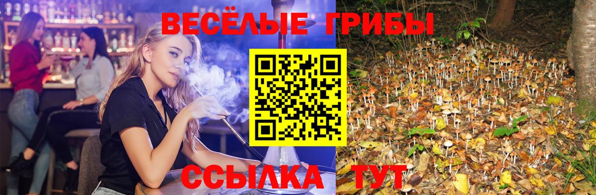 Галлюциногенные грибы ЛСД  Санкт-Петербург 