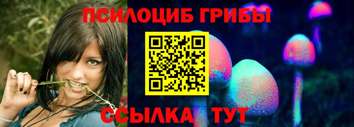 Галлюциногенные грибы Psilocybine cubensis Санкт-Петербург